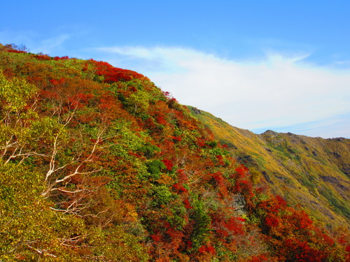 a0248728_1235370.jpg