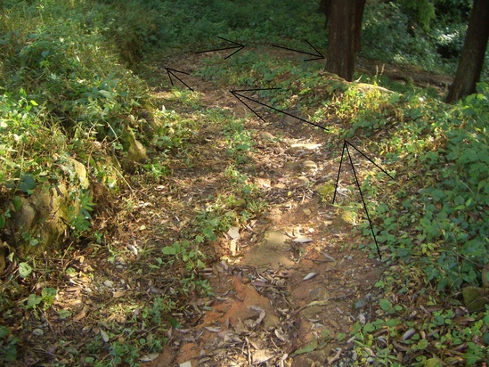 b0222530_18254921.jpg