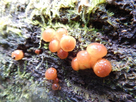 f0118332_23570390.jpg