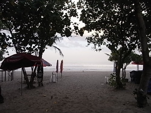 e0039033_11481722.jpg