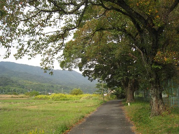 c0077338_1937568.jpg