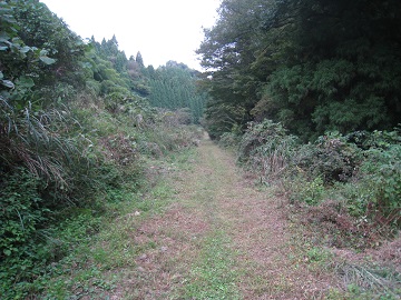 c0077338_1938048.jpg
