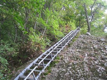 c0077338_19385979.jpg