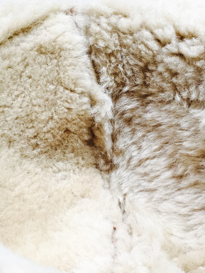 c0177238_19125139.jpg