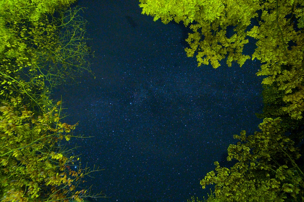 f0280739_2018384.jpg