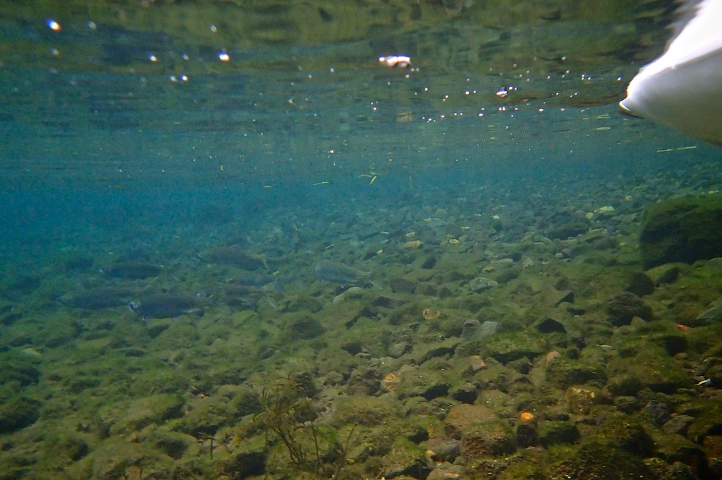 f0280739_2035026.jpg