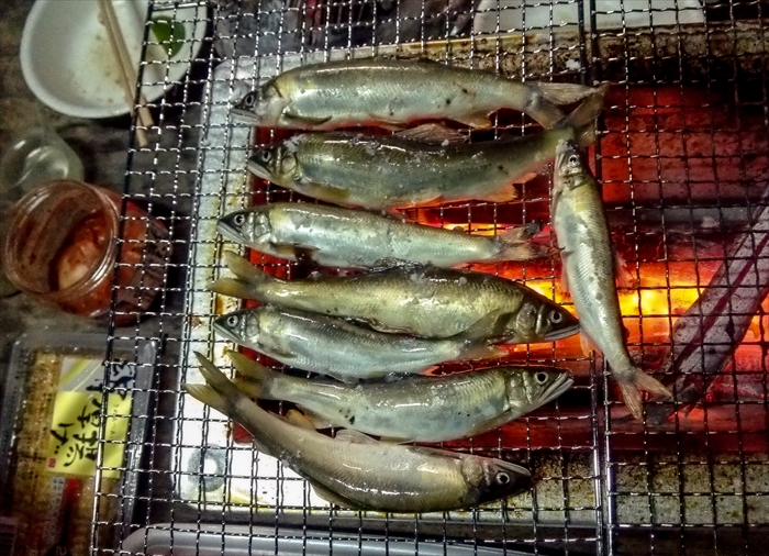 b0242140_172135100.jpg