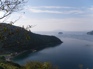 a0052952_91982.jpg