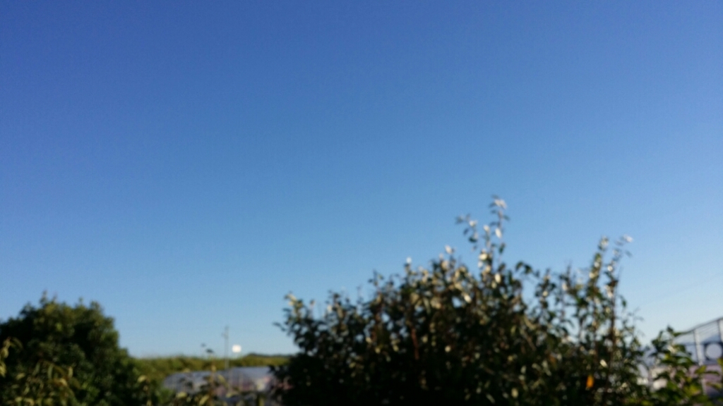 f0046854_21090451.jpg