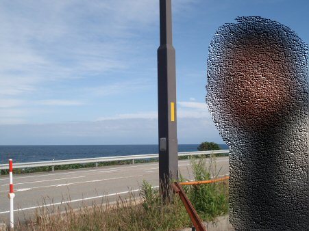 f0329554_11411917.jpg
