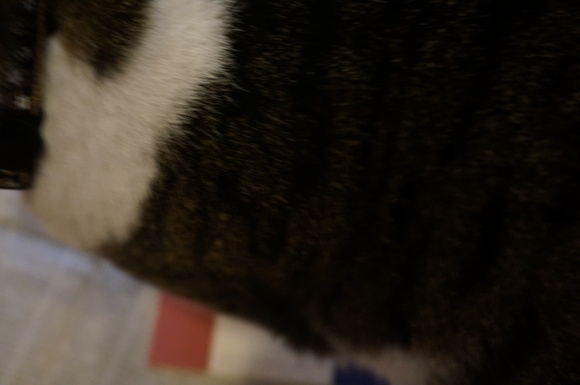 f0257756_14223935.jpg