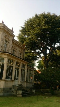 b0223370_20214985.jpg