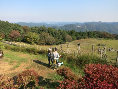 f0047773_21204178.jpg