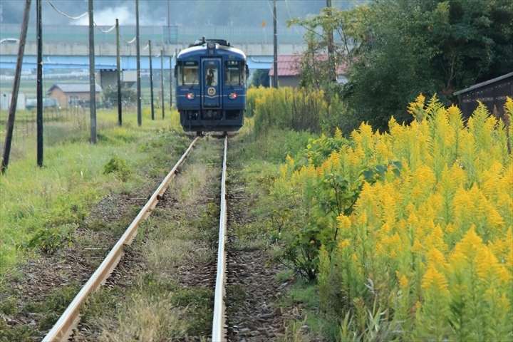 a0335890_21141529.jpg