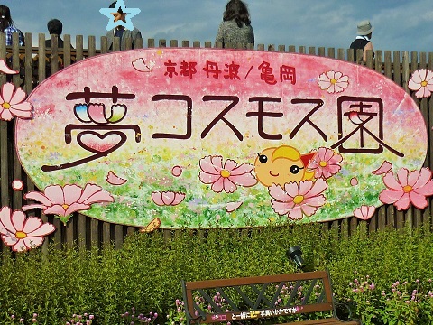 f0194690_1910357.jpg