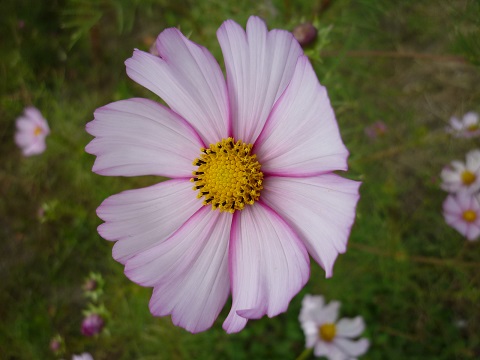 f0194690_19708.jpg