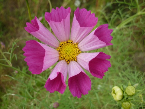 f0194690_1973185.jpg