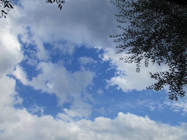 d0333091_18574776.jpg