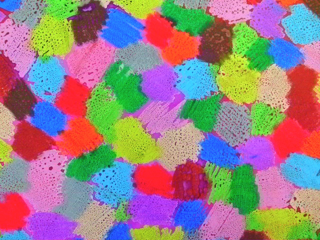 a0199297_1275077.jpg