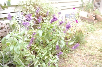 e0356401_01183549.jpg