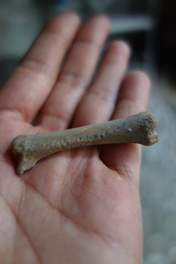 e0206902_454247.jpg