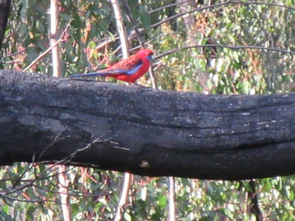 c0212604_21313033.jpg