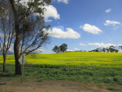 c0212604_2172350.jpg