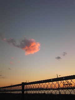 c0097806_0274012.jpg