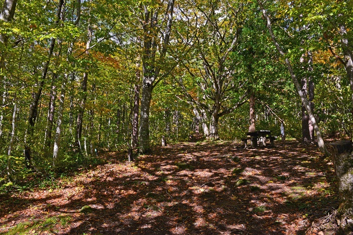 e0349817_21405742.jpg
