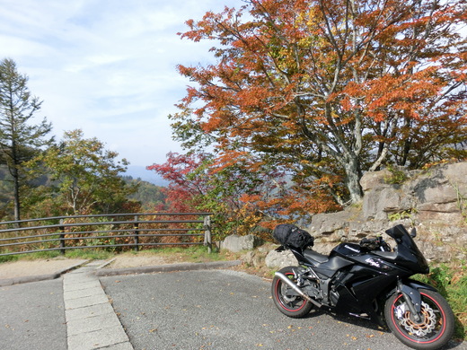 d0221319_175596.jpg