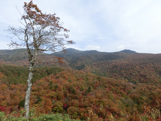 d0221319_1825933.jpg