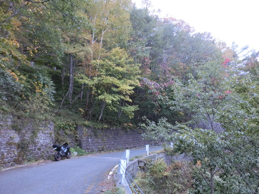 d0221319_19563719.jpg