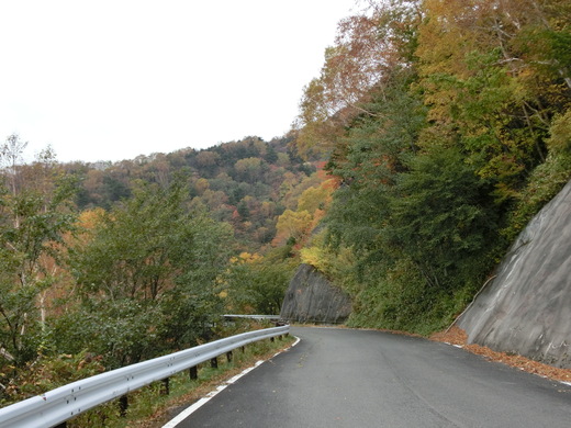 d0221319_19592890.jpg