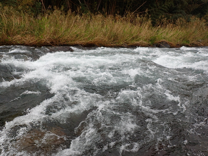 f0103126_20492711.jpg