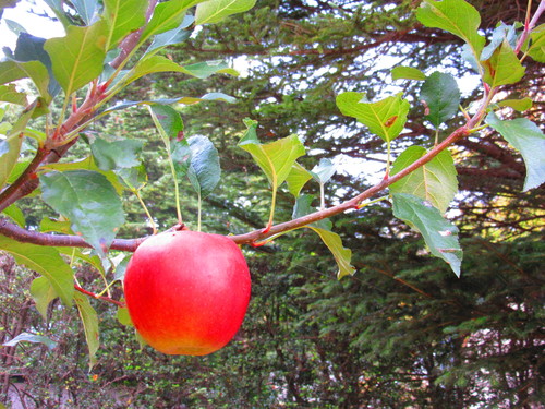 a0248728_1754614.jpg