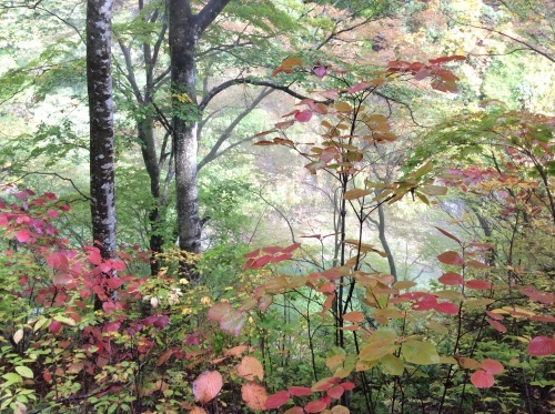 c0364428_08450204.jpg