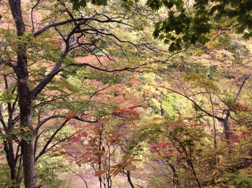 c0364428_08451826.jpg