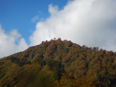 f0118332_00151489.jpg