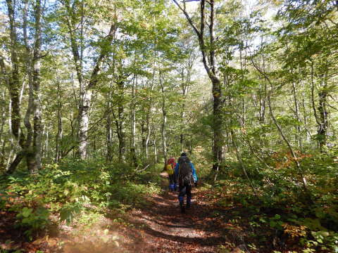 f0118332_00164016.jpg