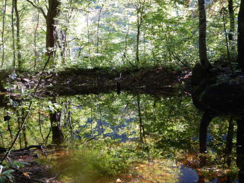 f0118332_00165981.jpg