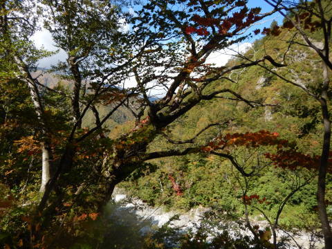 f0118332_00171448.jpg