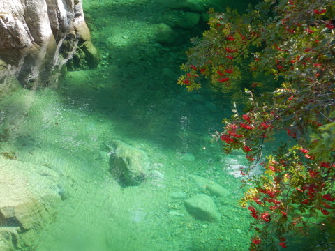 f0118332_00173948.jpg