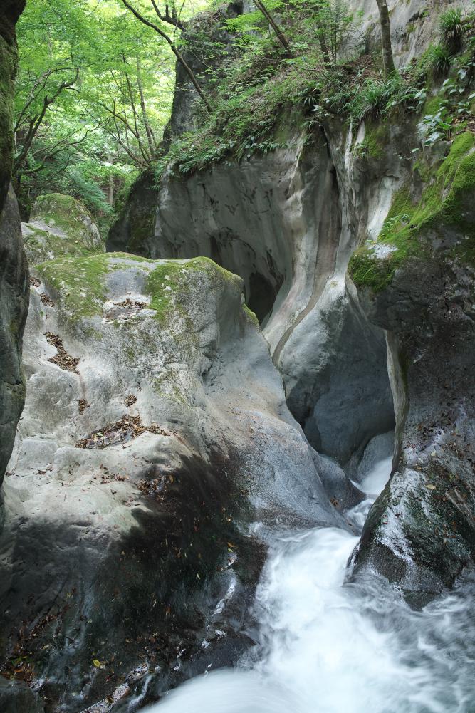 c0189533_2052811.jpg