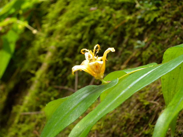 e0272335_1117760.jpg