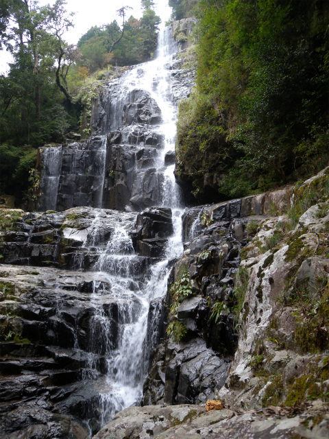 e0272335_1132554.jpg