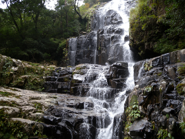 e0272335_11341117.jpg