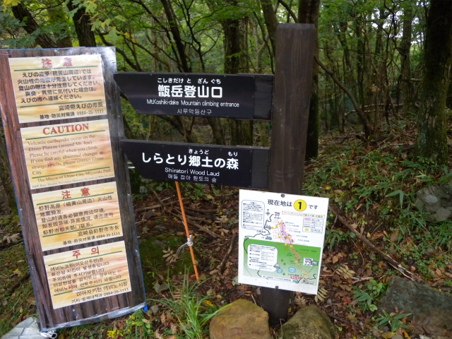 e0272335_1553217.jpg
