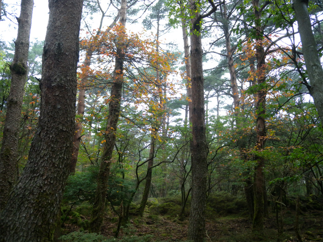 e0272335_15561080.jpg