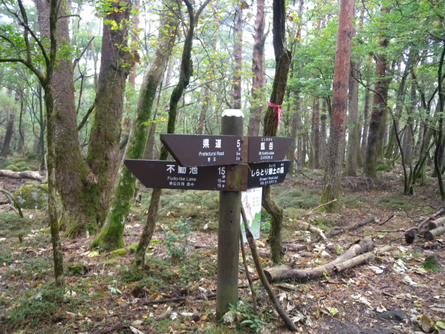 e0272335_1613743.jpg