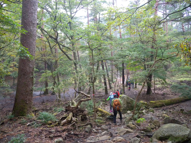 e0272335_1624743.jpg